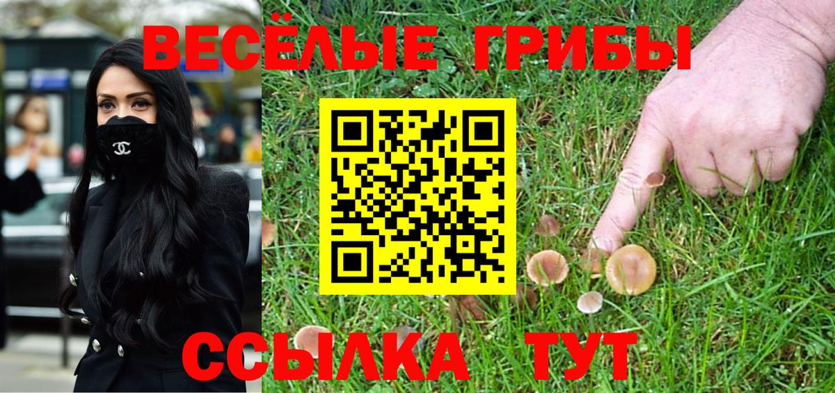 Галлюциногенные грибы Cubensis  Галлюциногенные грибы GOLDEN TEACHER  Вход с VPN  Аша 